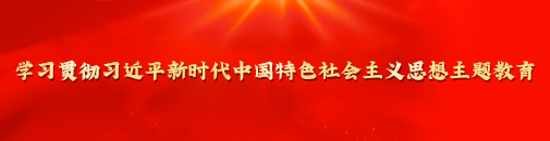 學習貫徹習近平新時代中國特色社會主義思想主題教育